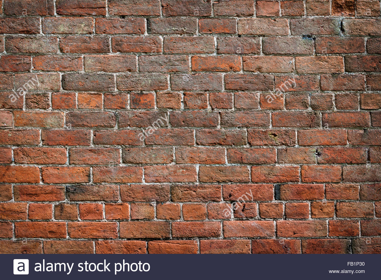 [25+] Tudor Backgrounds | WallpaperSafari