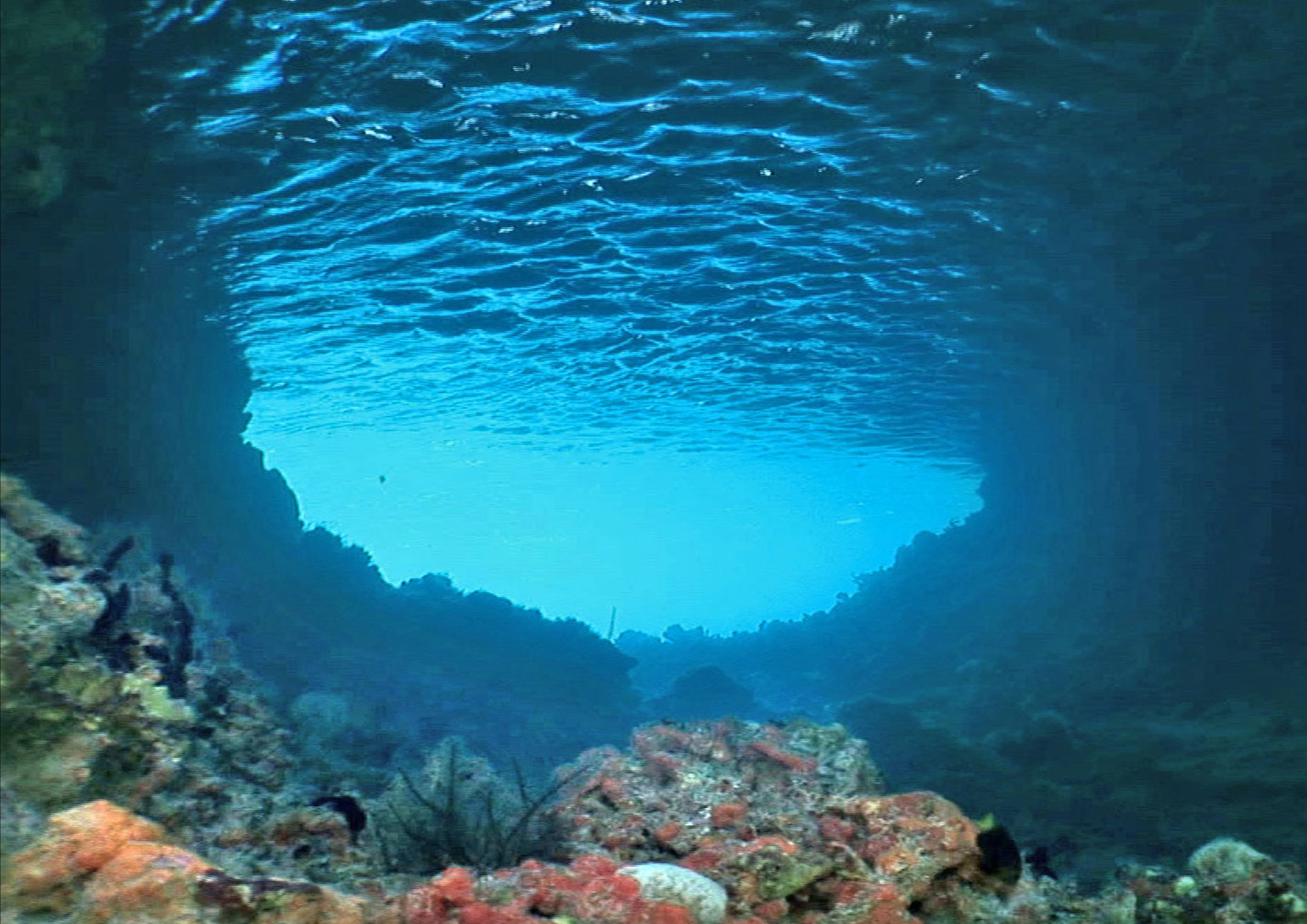 Underwater HD Image Baltana