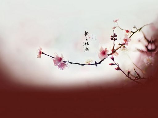 Beautiful Chinese New Year Wallpaper For