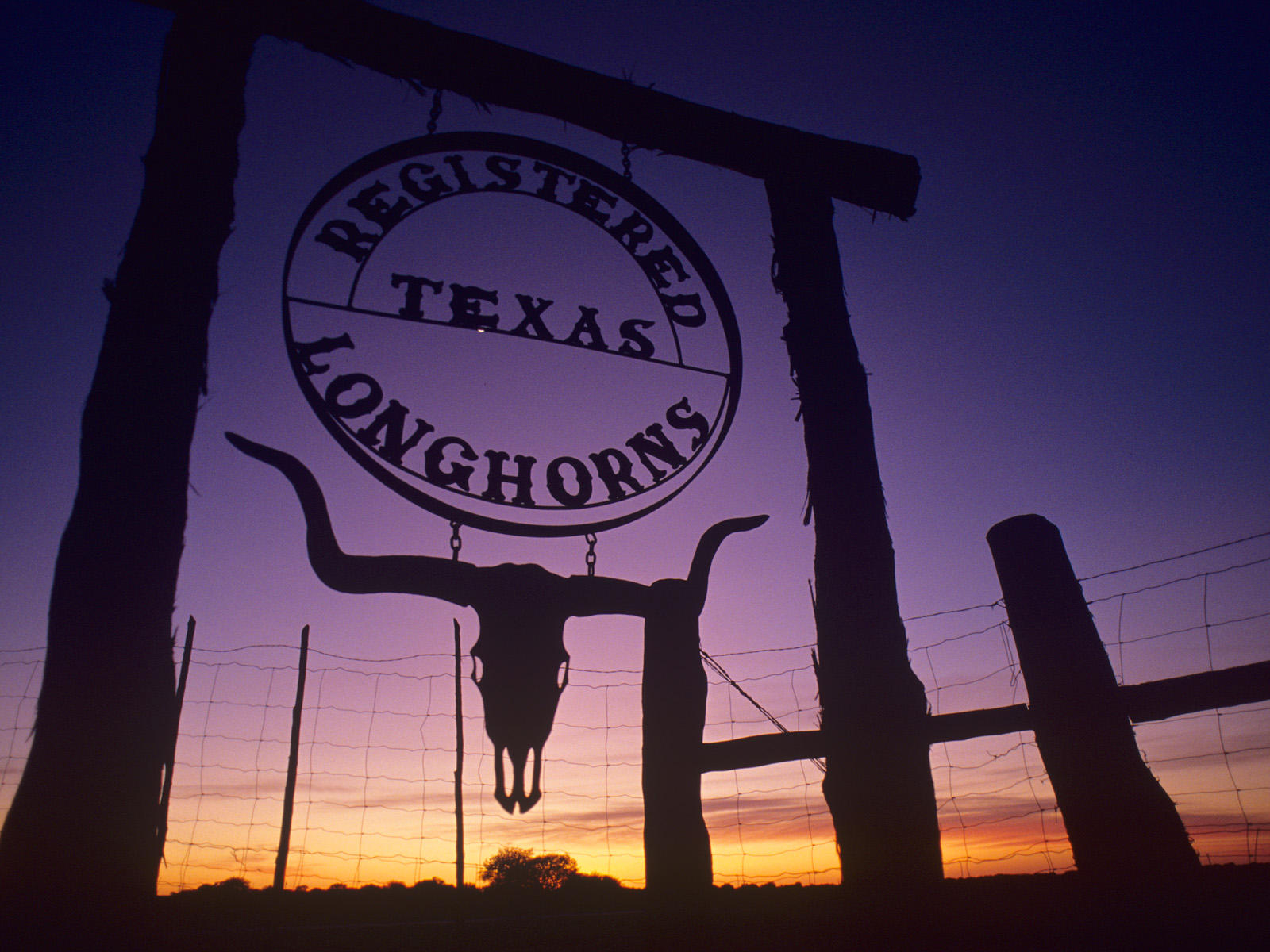 Collection of Texas Landscape Backgrounds Texas Landscape HDQ