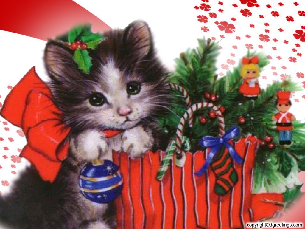 Cute Christmas Kitten Wallpaper Image Amp Pictures Becuo