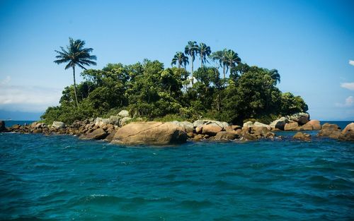 Home Widescreen Around The World Brazil Island