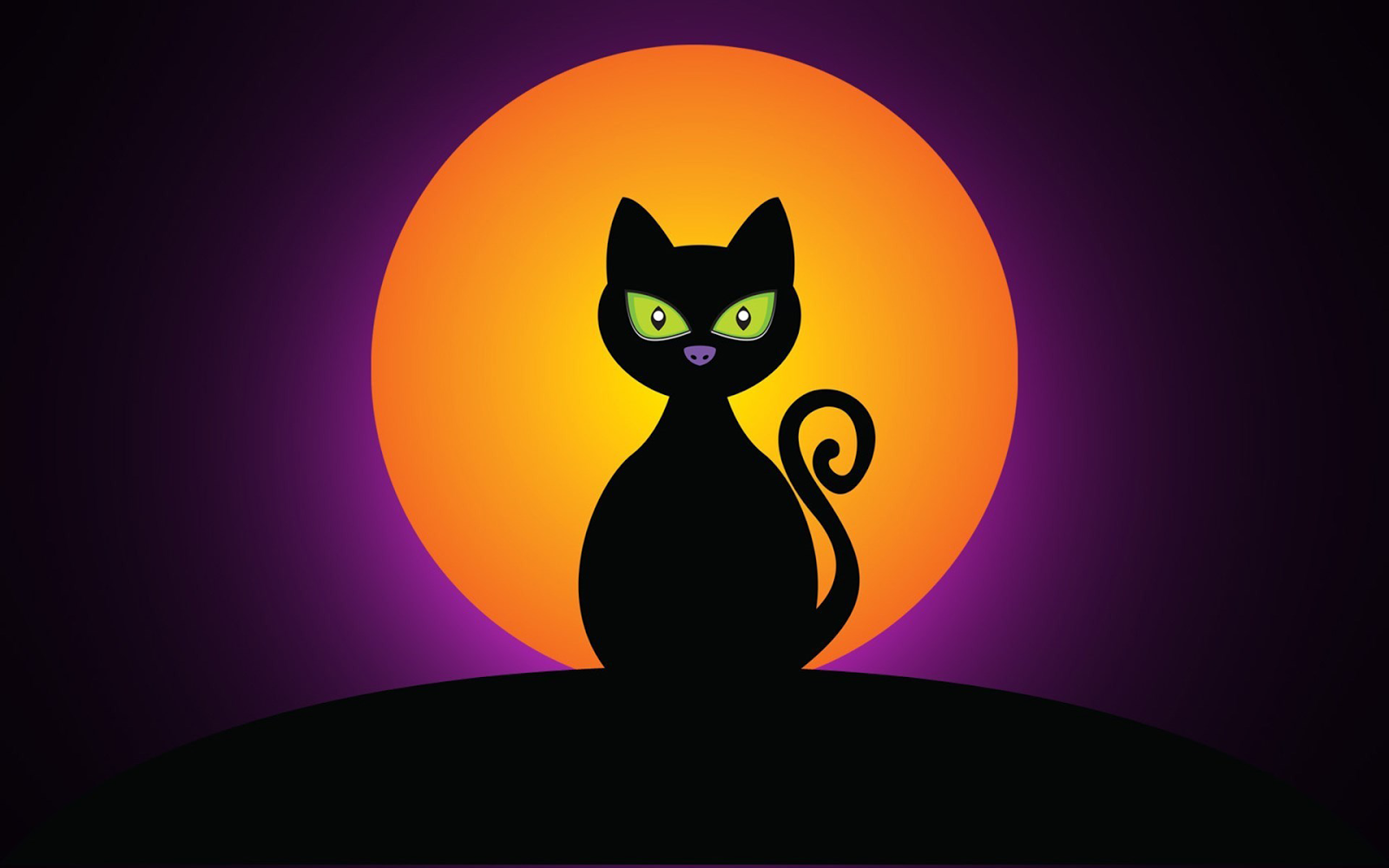 Halloween Moon With Black Cat Silhouette HD Wallpaper Desktop