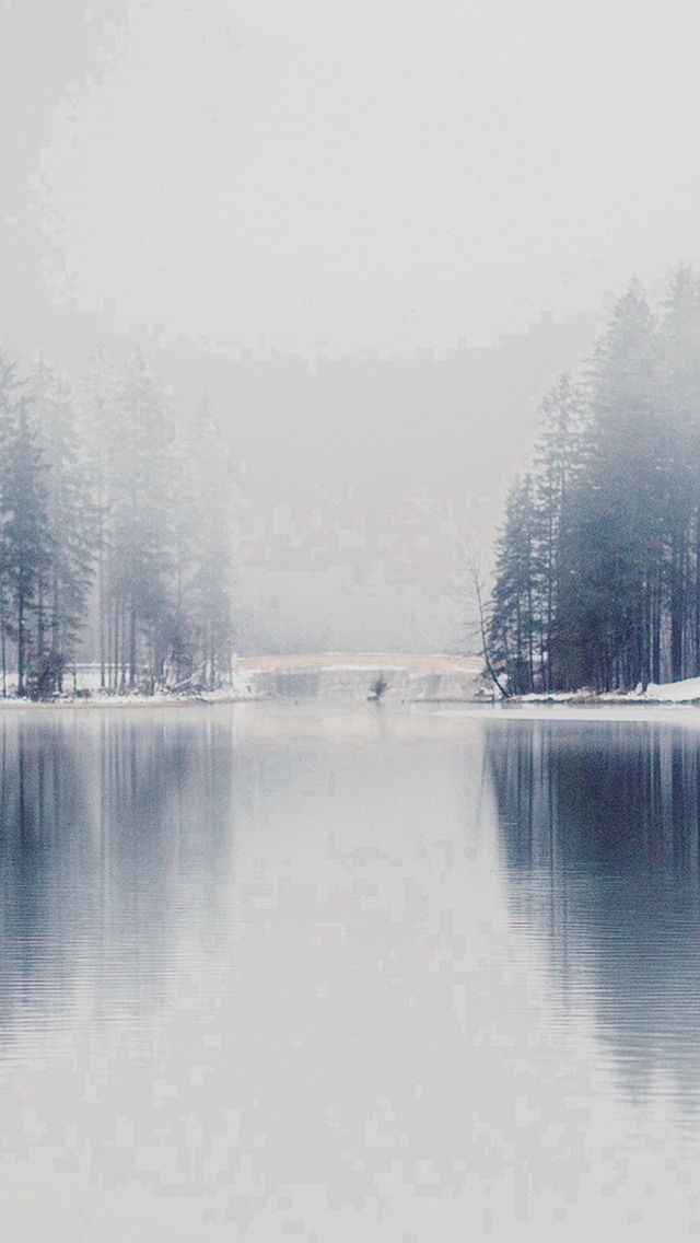 Winter Lake White Blue Wood Nature Fog iPhone Wallpaper