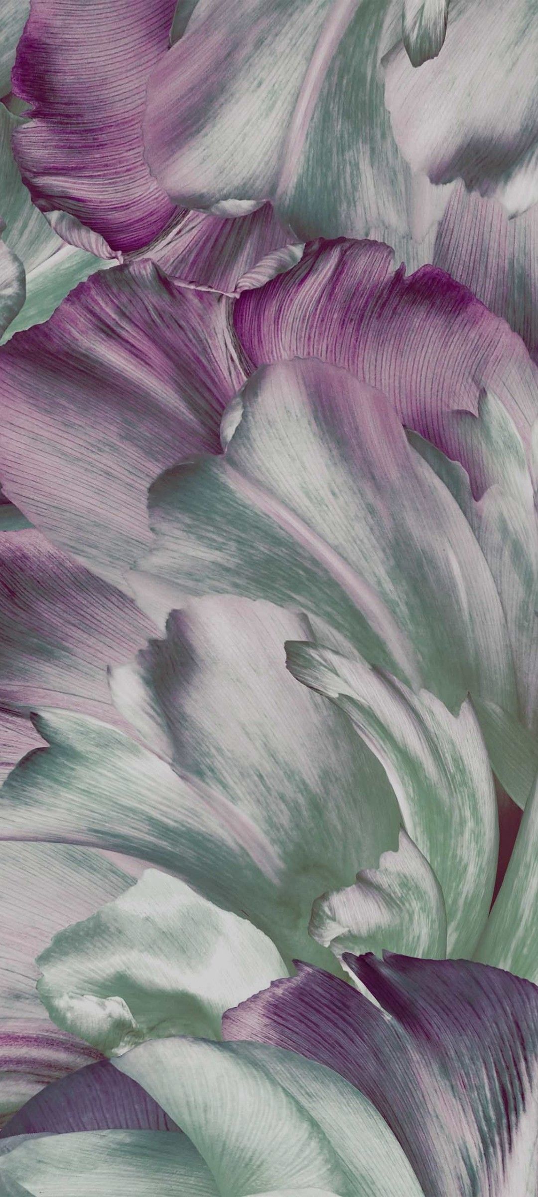 Purple And Green Flowers Wallpaper