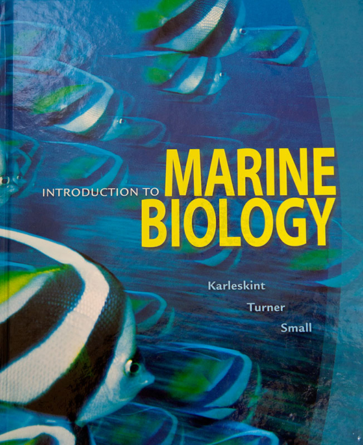 Marine Biology Pictures Introduction to marine biology