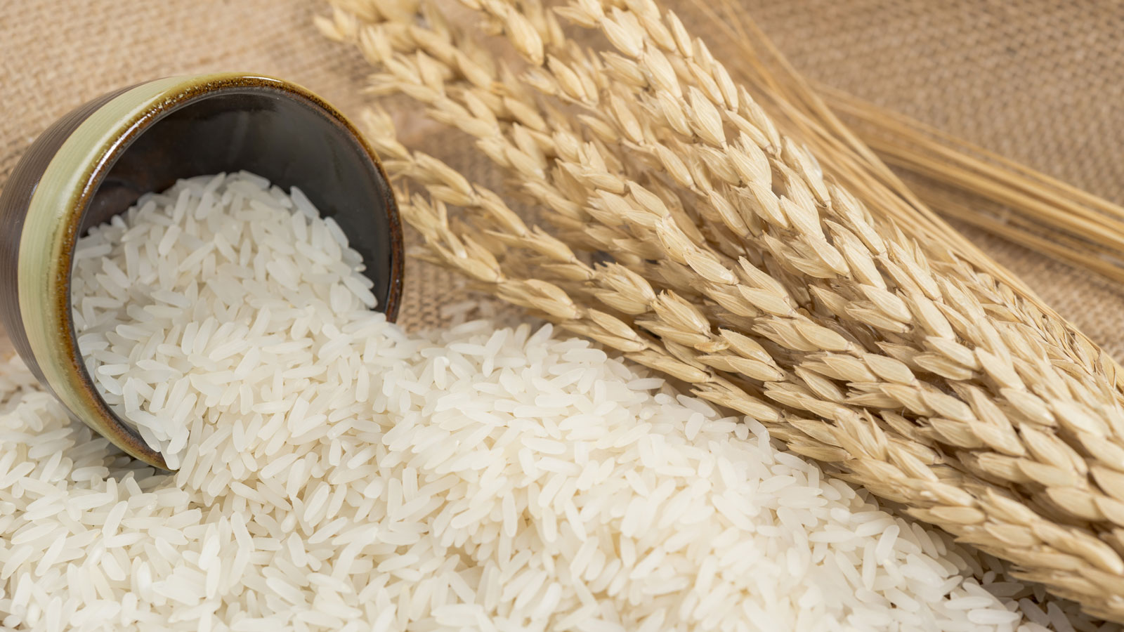 100 Rice Pictures  Download Free Images on Unsplash