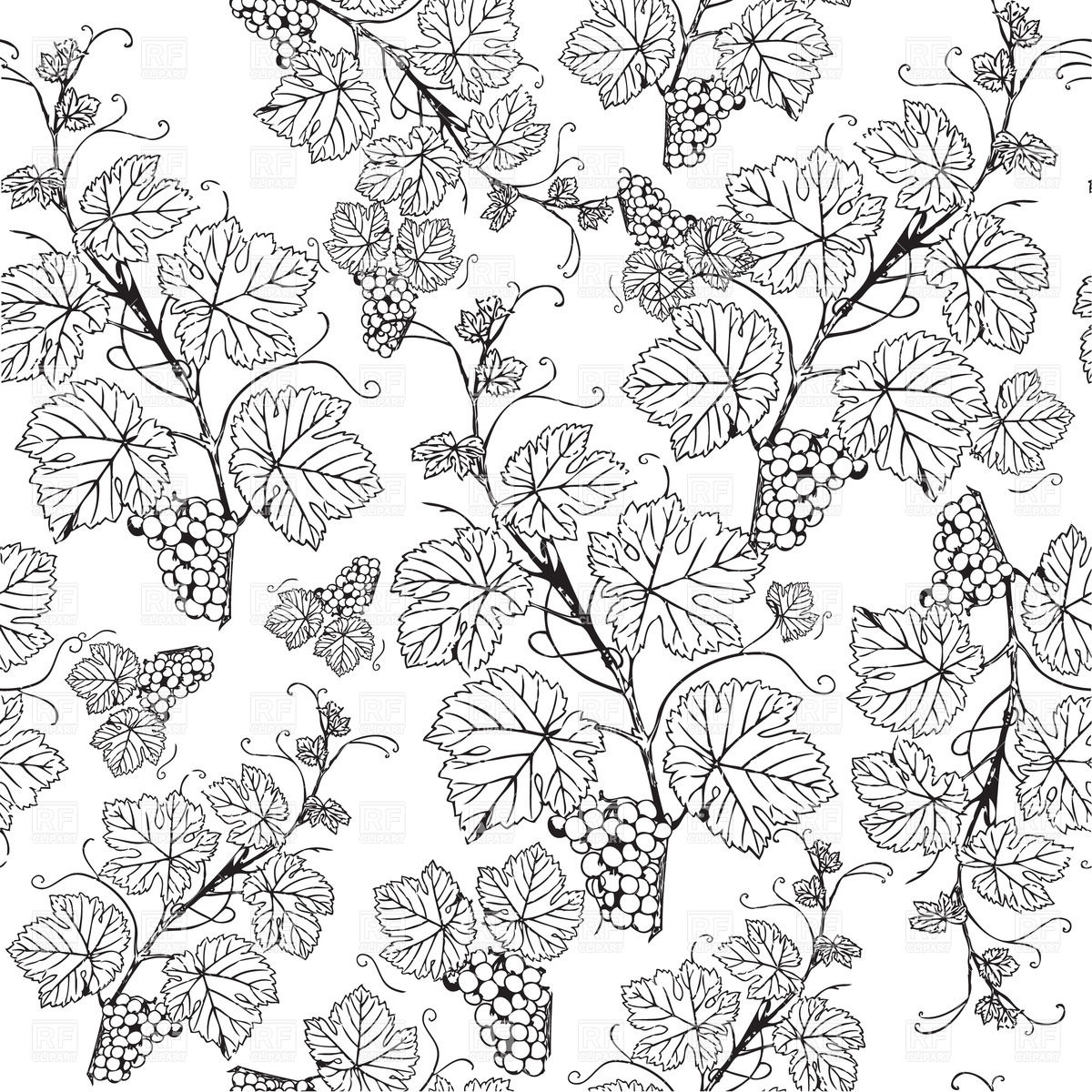 Grape Vine Sketch Pattern Plants And Animals Royalty