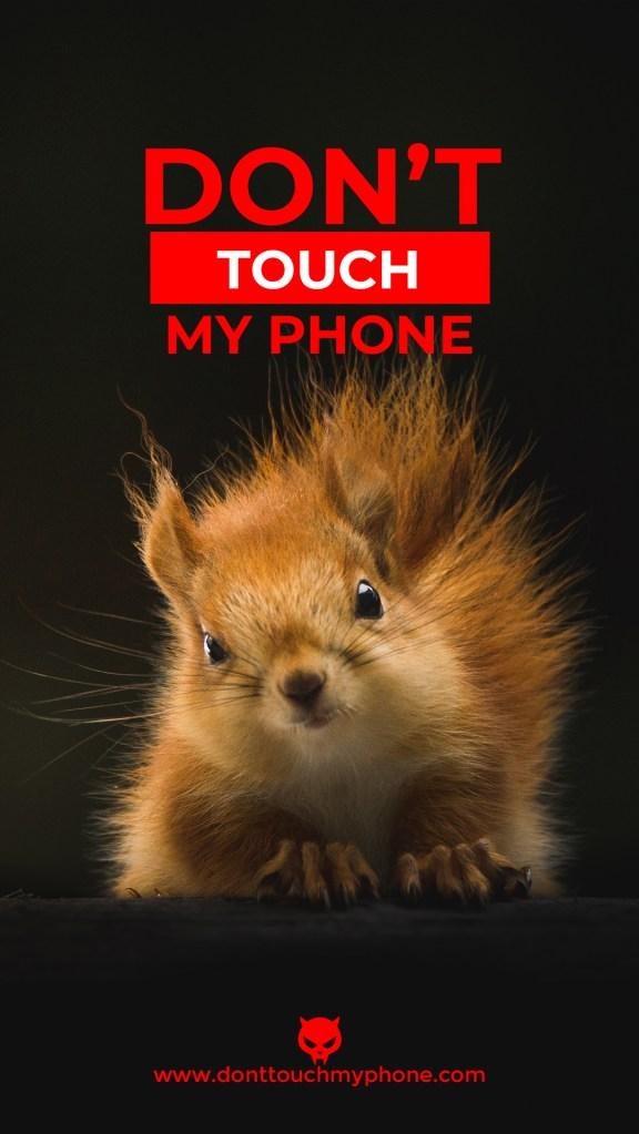 Wallpaper Dont Touch My Phone Cute Animals   Dont Touch My Phone
