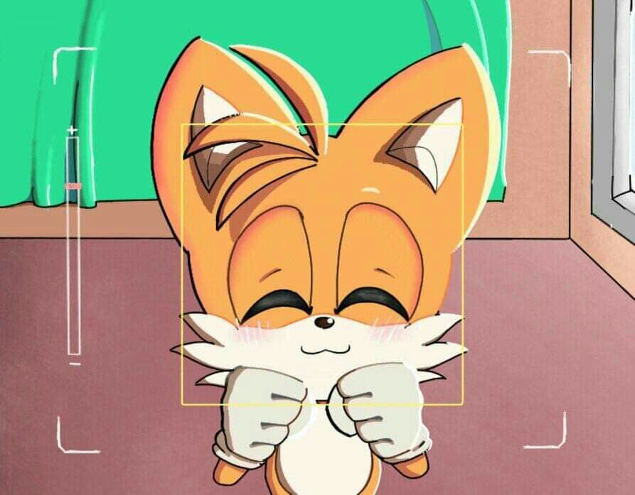 Cute Tails Posing For The Picture Sonic Fan Art