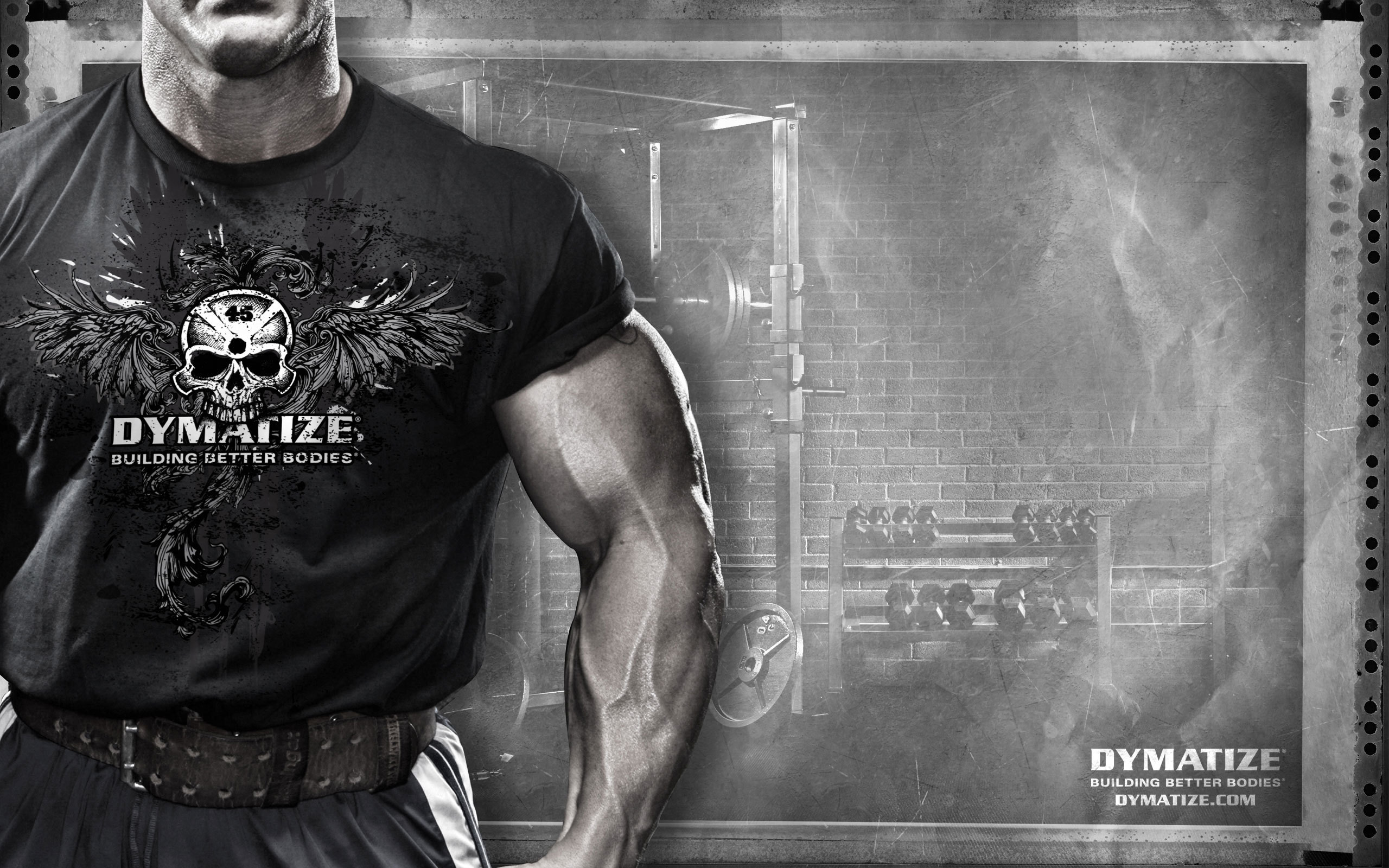 Muscles Sportpit Dymatize Sports Andy Haman Desktop