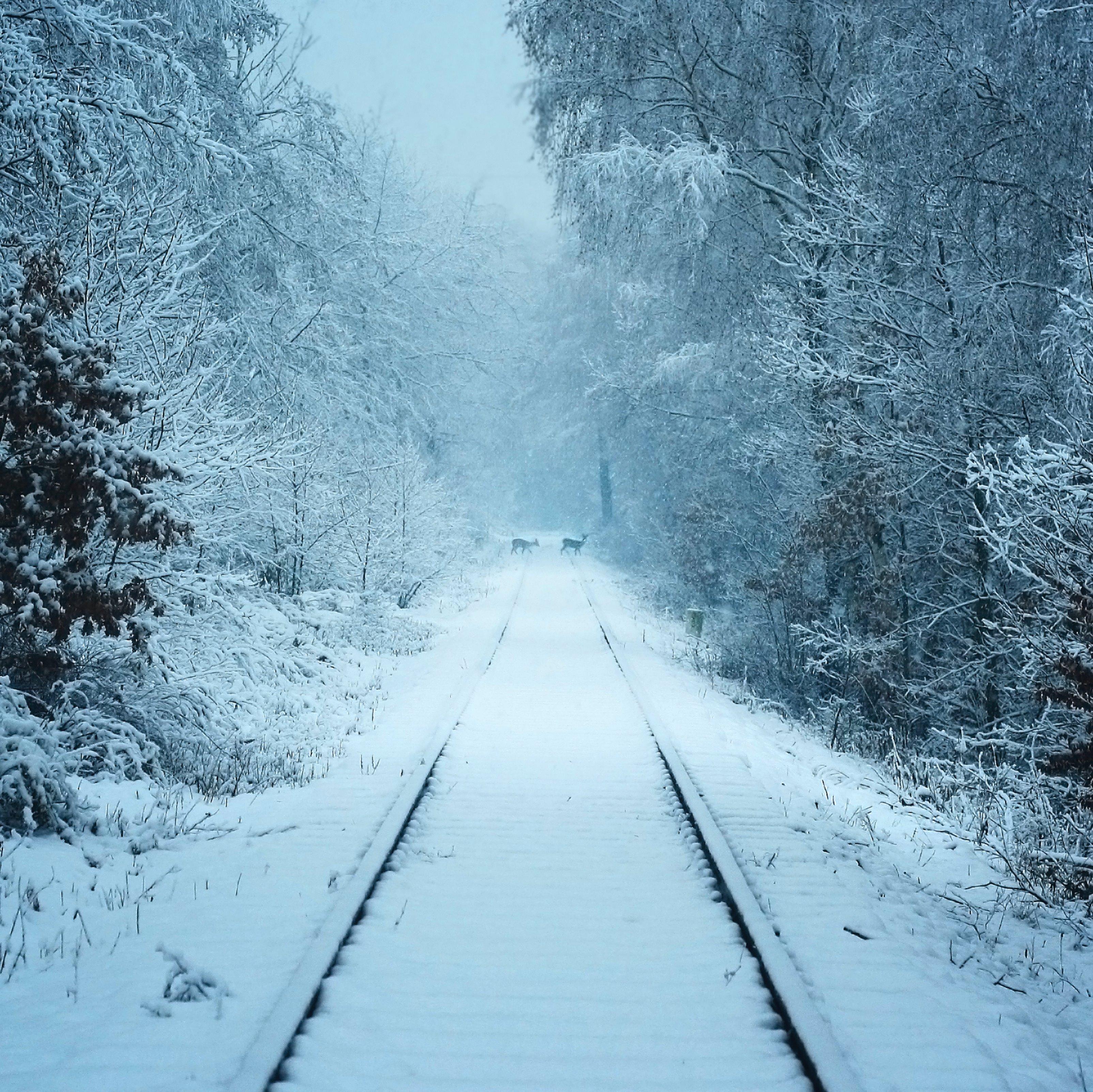 Winter Railroad Track Snow Forest Weather iPad Wallpaper HD