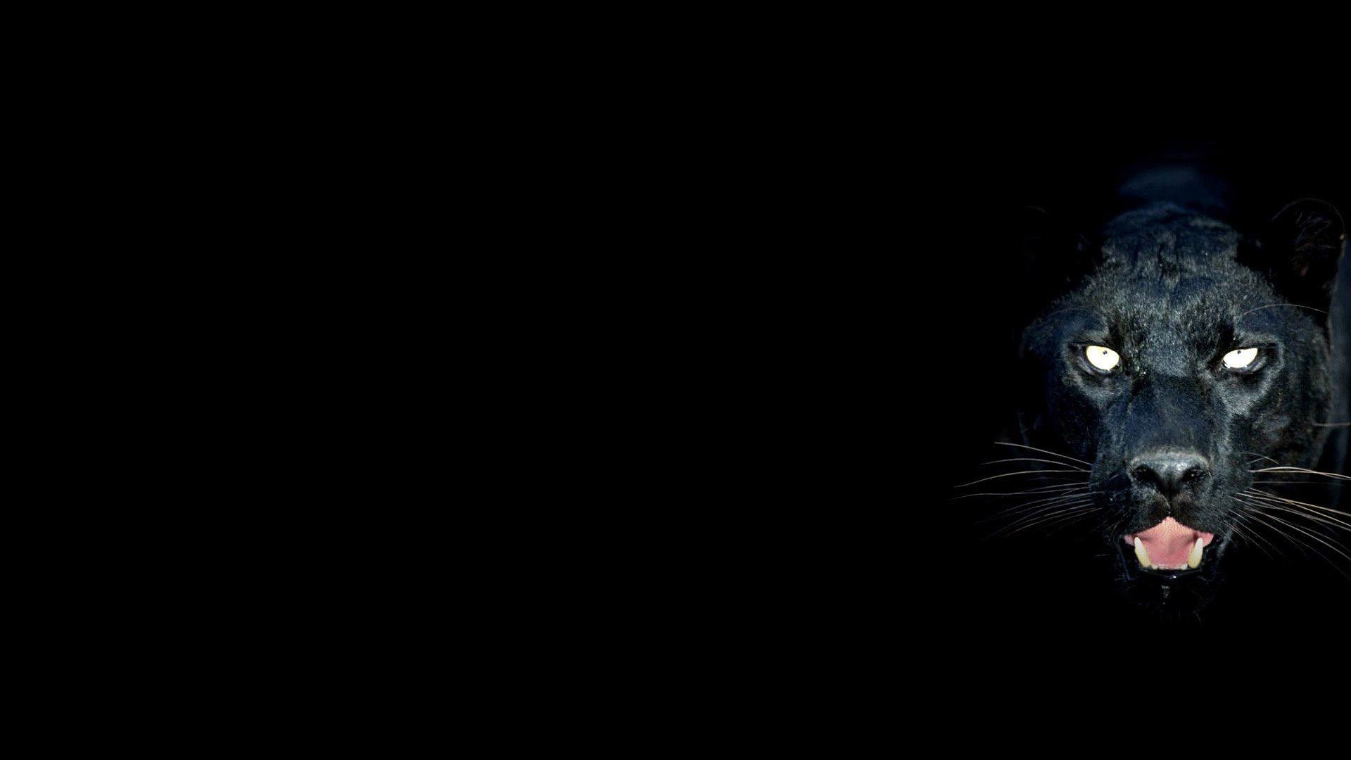 Black Panther Wallpaper With Blue Eyes