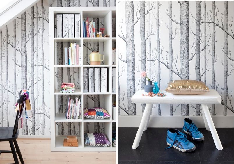10 Excellent Sources for Buying Birch Tree Wallpaper  Apartment Therapy
