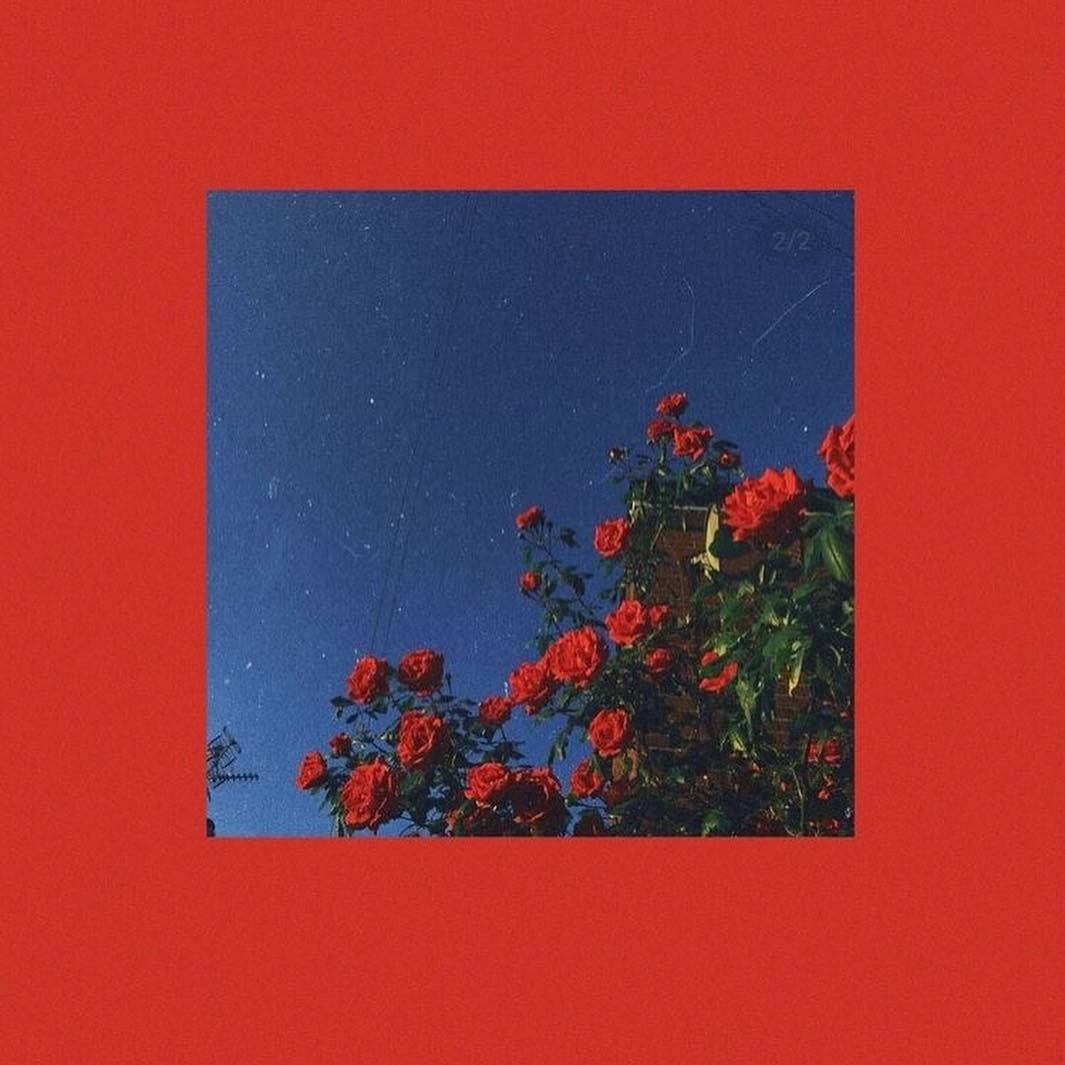 Red Baddie Wallpaper