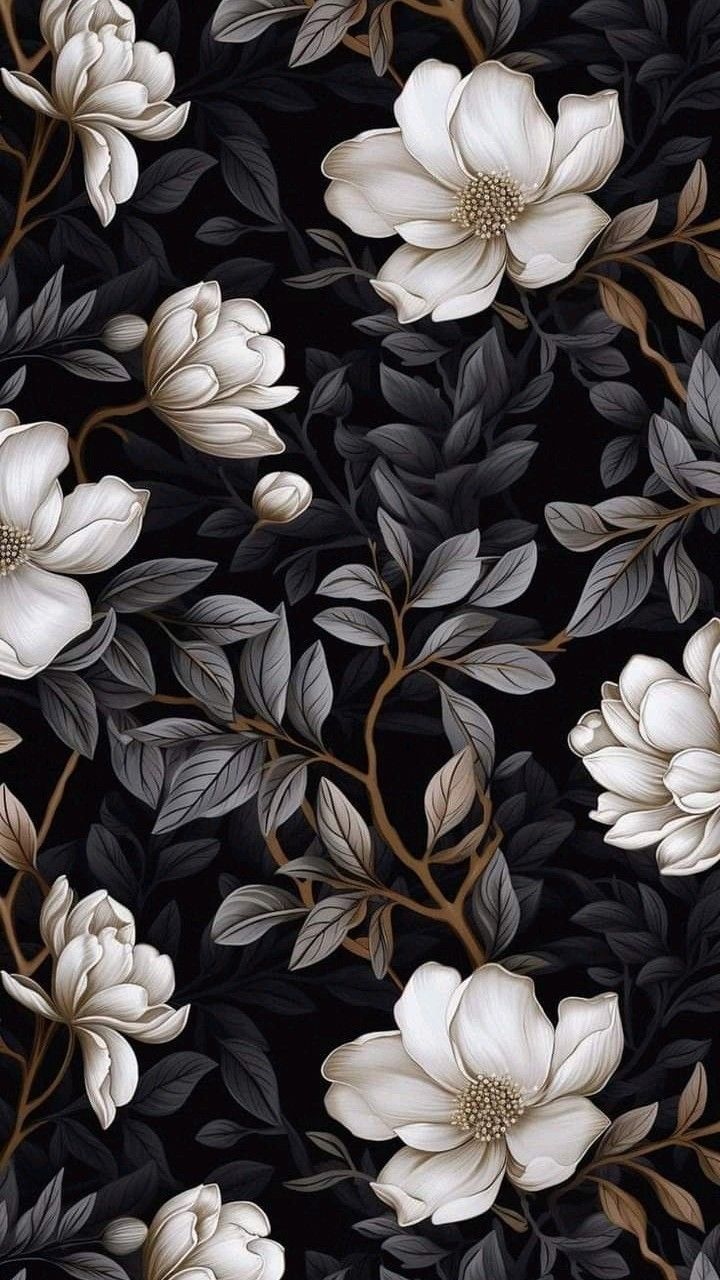 Redefine Your Device S Aesthetic With Our Diverse Collection iPhone Wallpaper