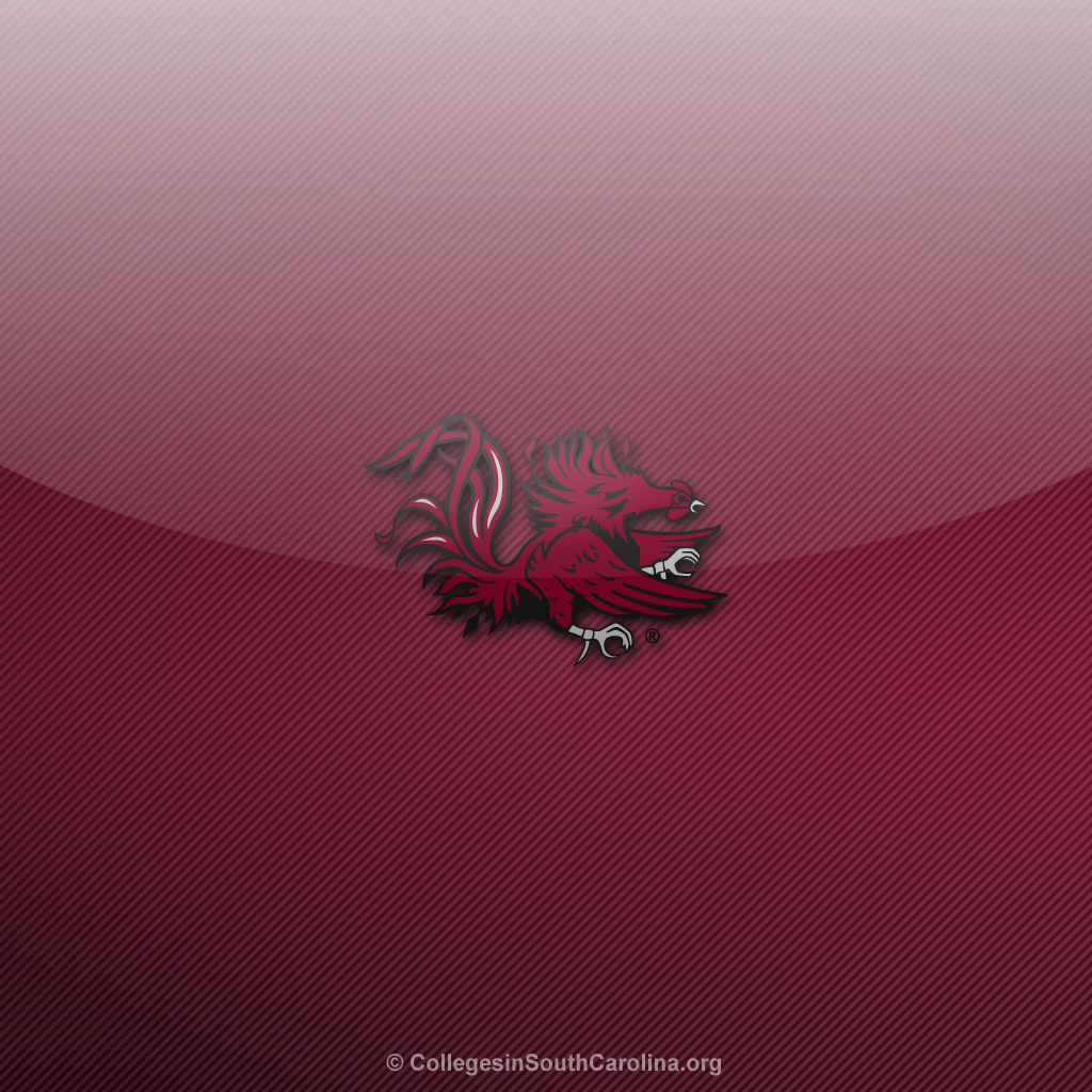 Thumbs South Carolina Gamecocks iPad Wallpaper