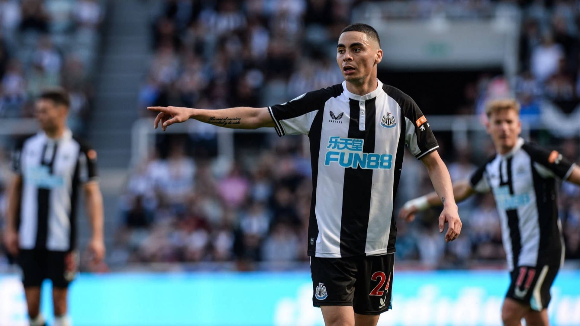 Newcastle United Fc Wallpaper