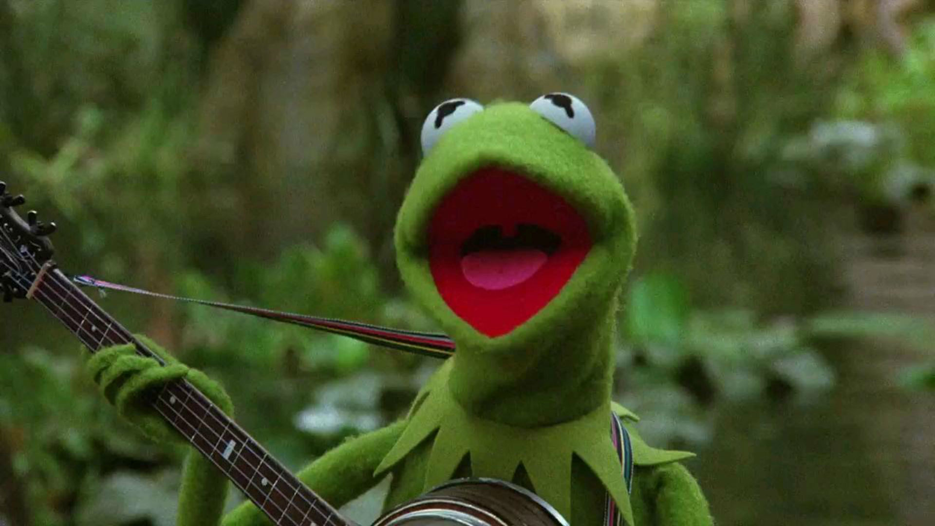 Kermit The Frog Wallpaper
