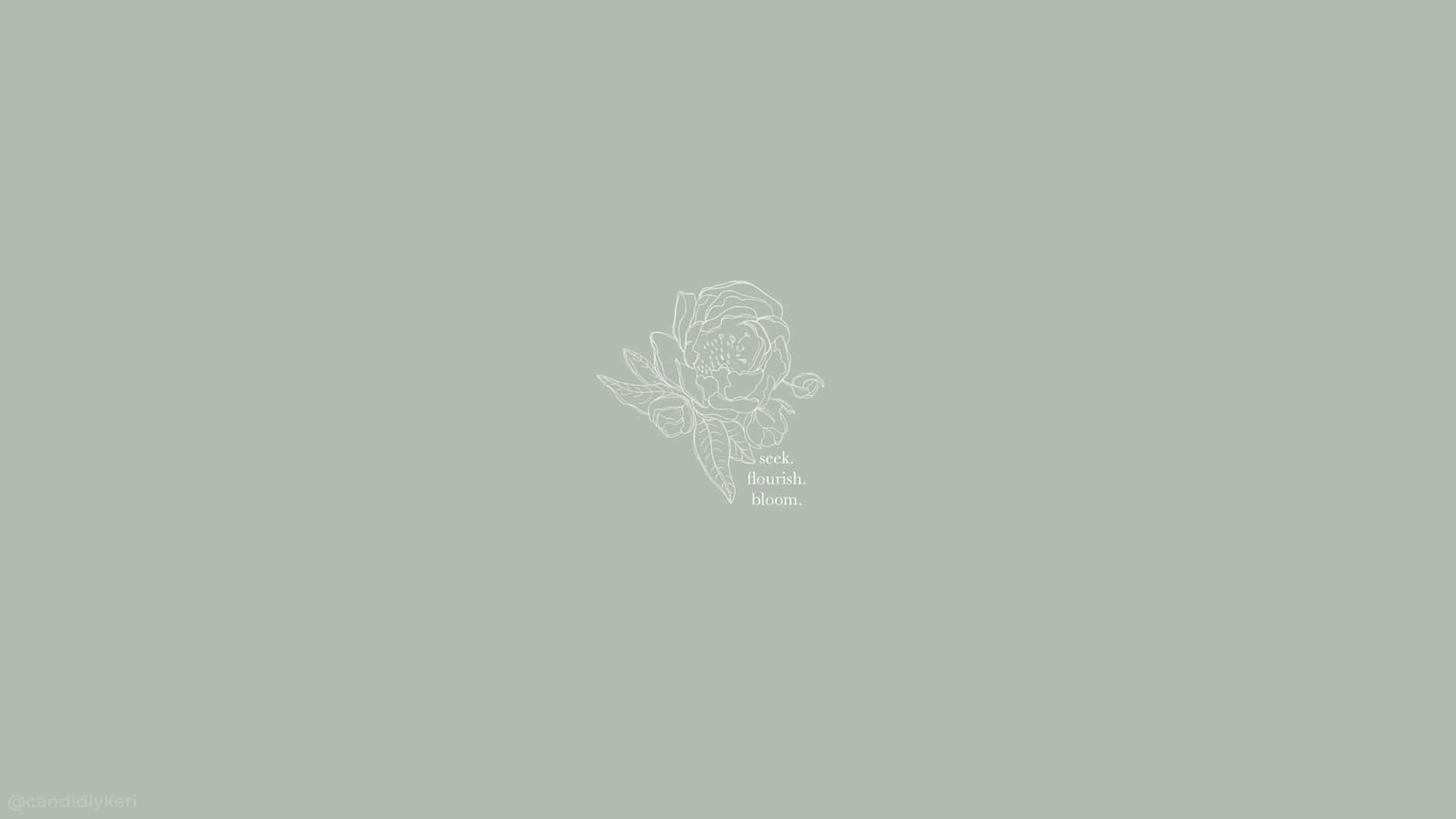Aesthetic Boho Wallpaper