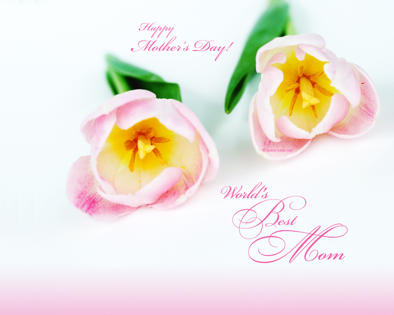 Re Going To Make A Happy Mother S Day Ppt You Can Use These
