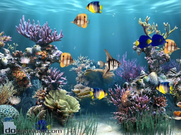 Aquarium Animated Wallpaper image Aaquarium animated desktop