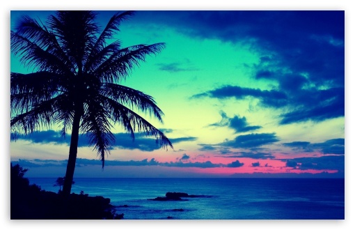 Tropical Sunrise HD desktop wallpaper High Definition Fullscreen