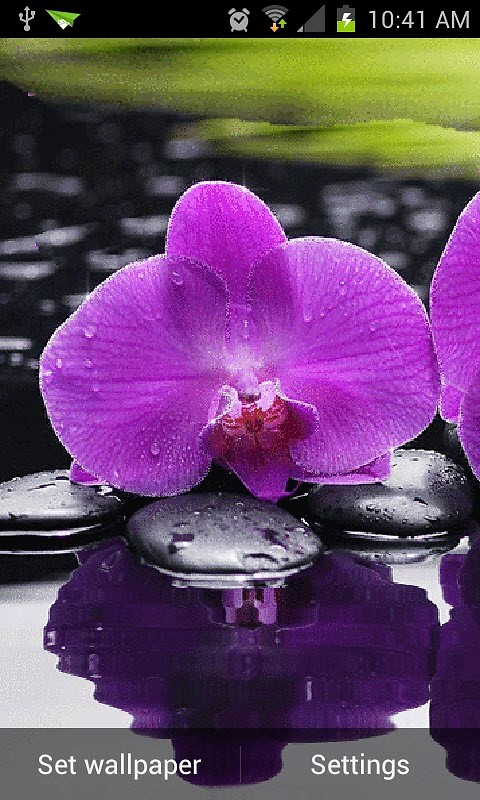Purple Stone Flower Live Wallpaper Android