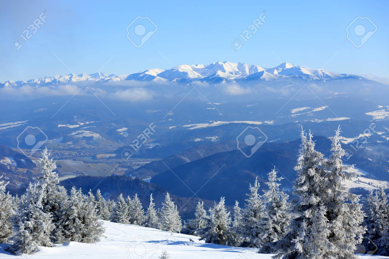 Nice Winter Scene With Mountains On Background Stock Photo