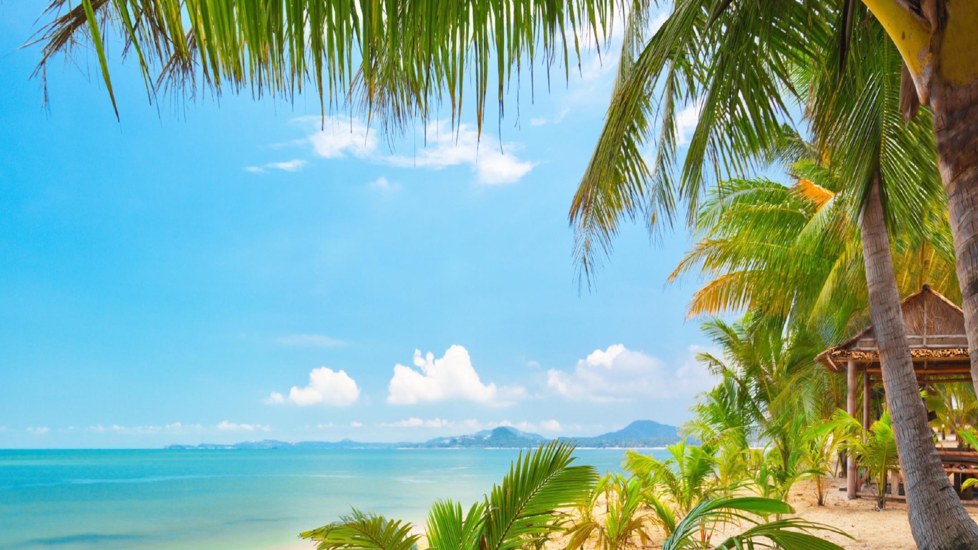 Palm Beach Punta Cana Sfondi Gratuiti Per Desktop Full HD