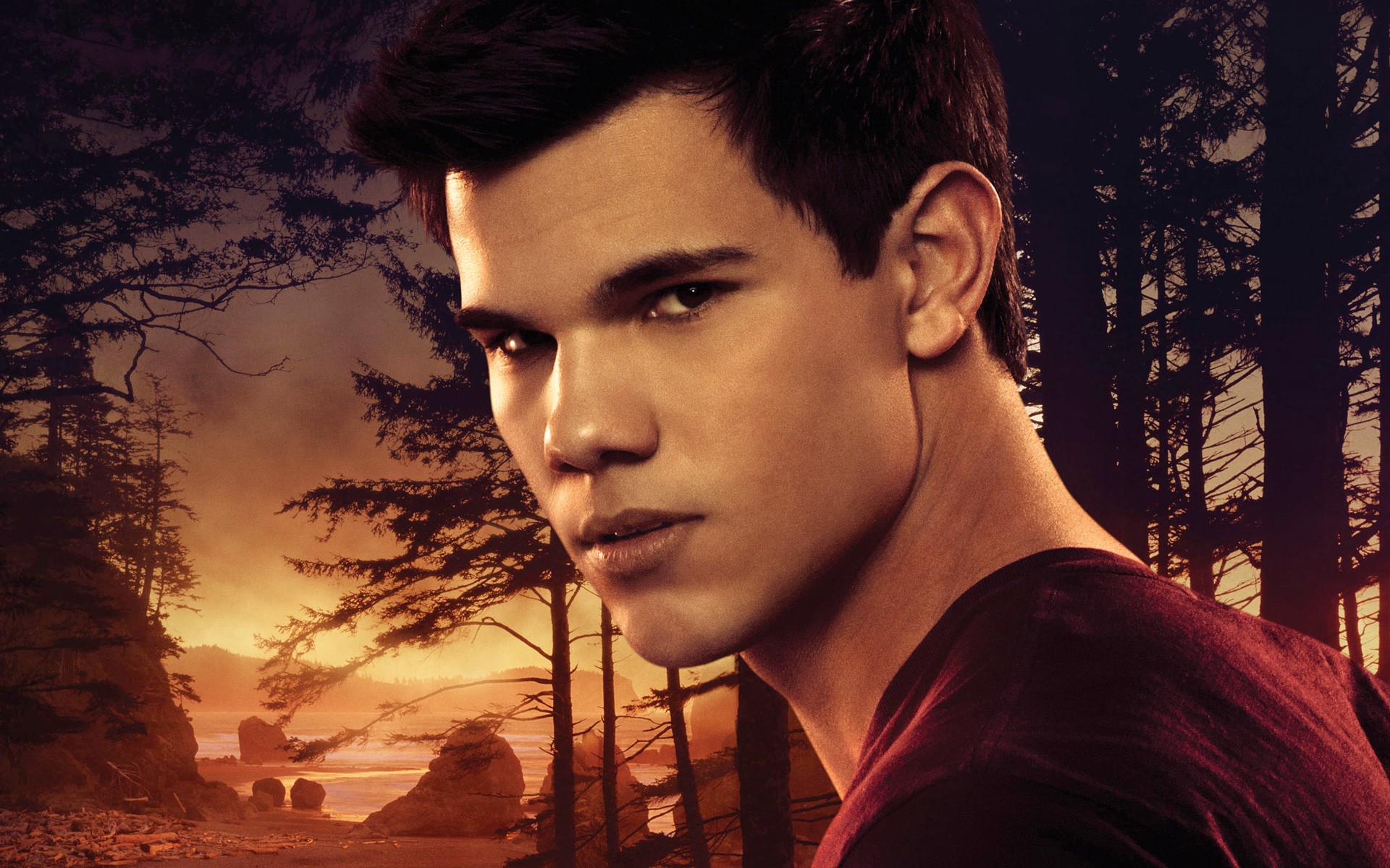 Taylor Lautner In Twilight Wallpaper
