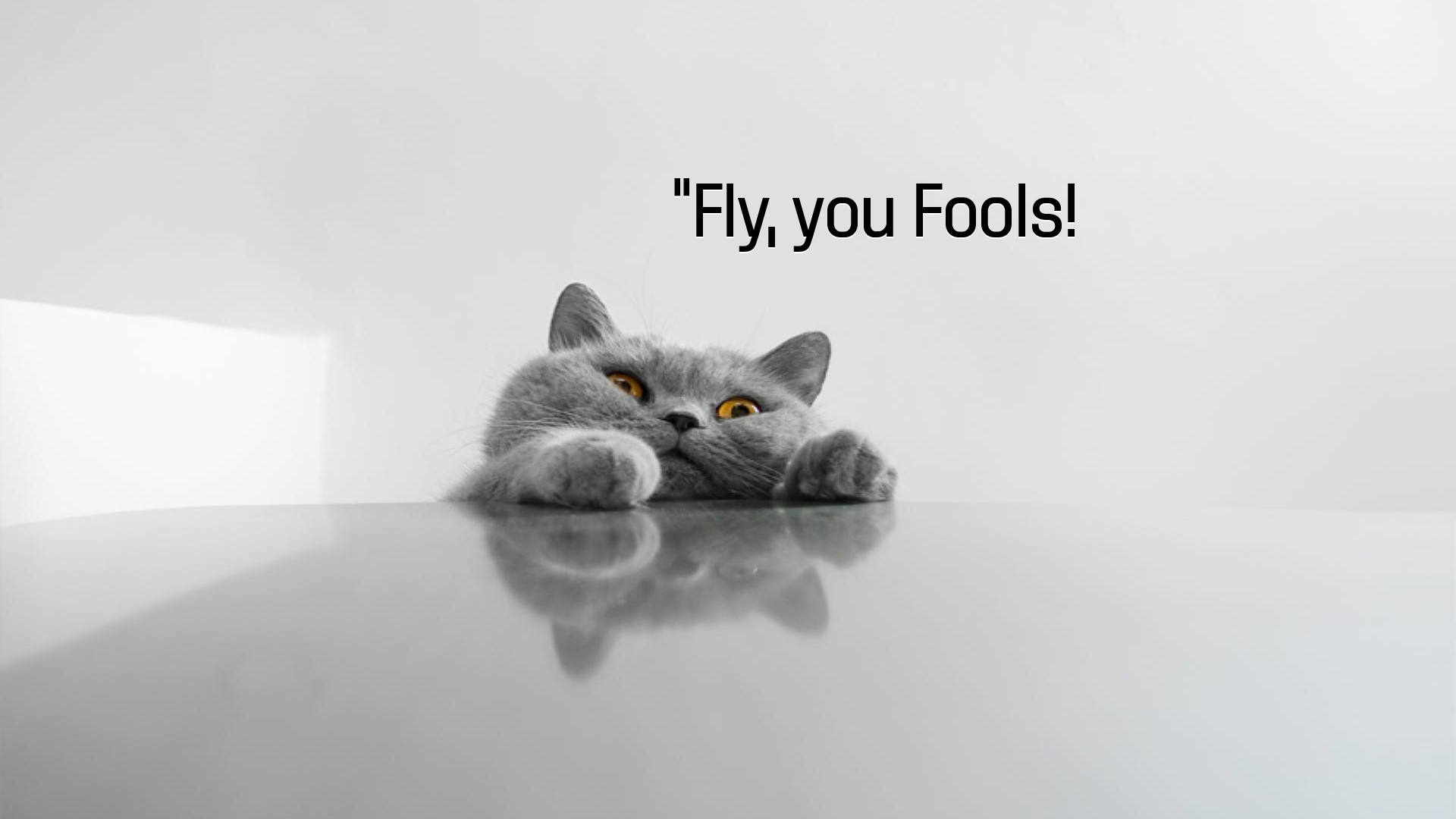 A funny grayscale image of a gray cat peeking over a table with the caption 
