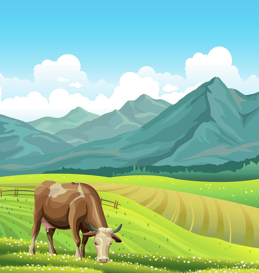 Cartoon Cow And Rural Meadow With Green Grass On The Mountain