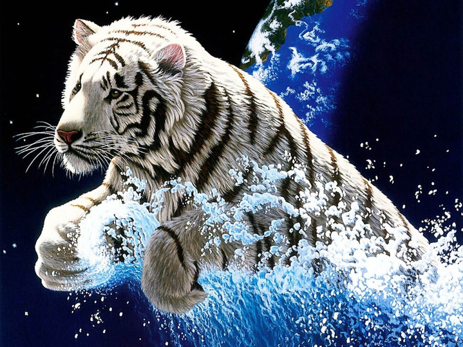White Tiger HD Wallpaper HD Image 1600x1200 for Gadget Background