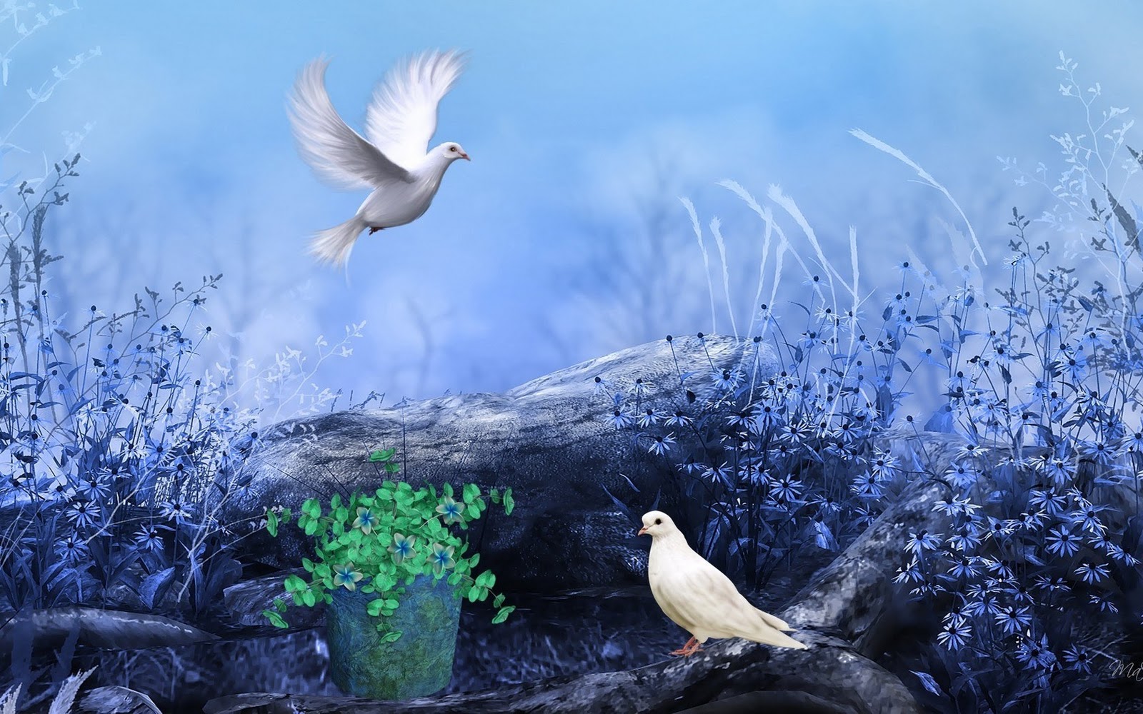 Awesome Blue Flowers White Pigeons HD Wallpaper Shayari Urdu