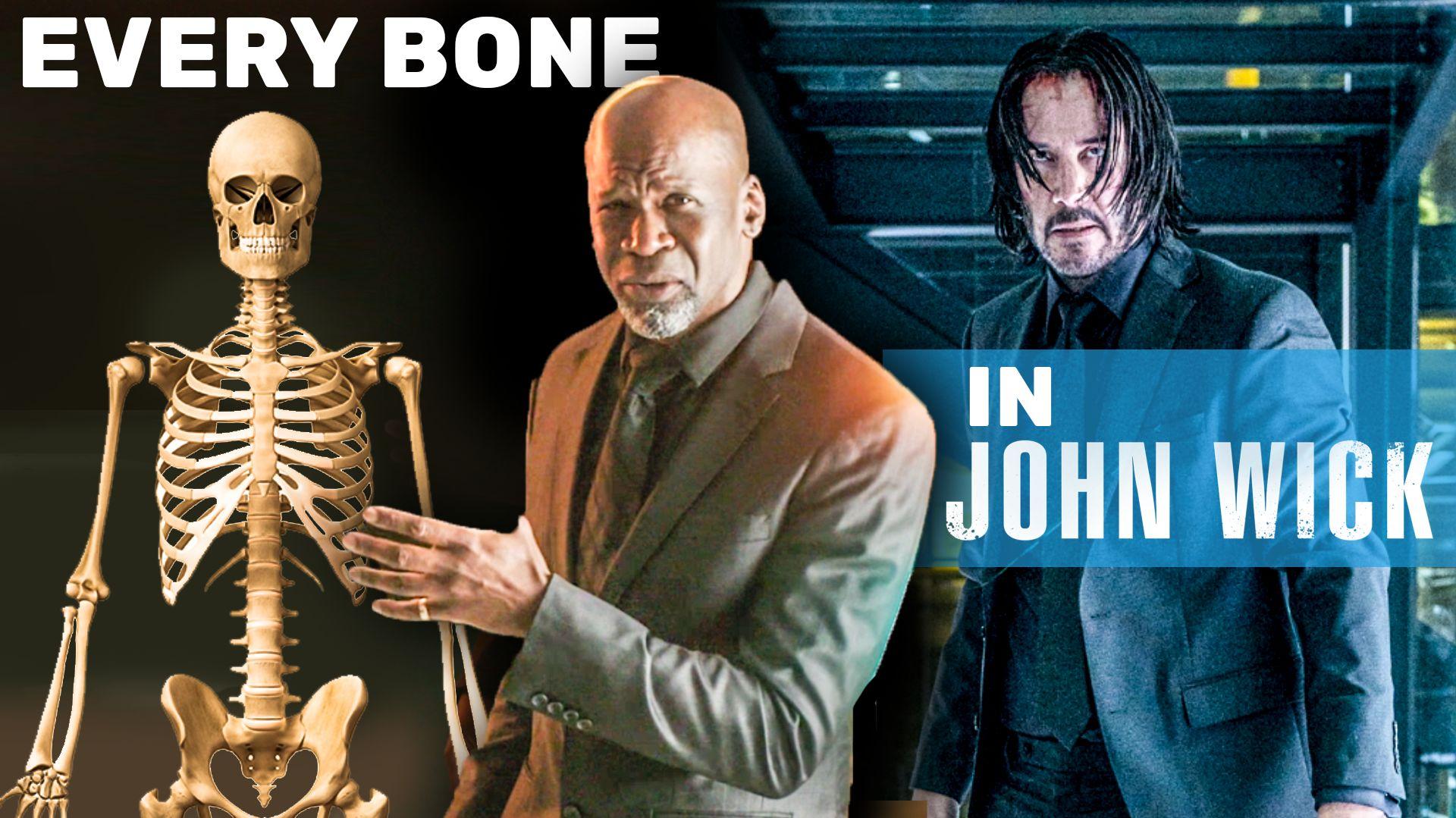 Watch Every Bone In The Human Body Explained Using John Wick