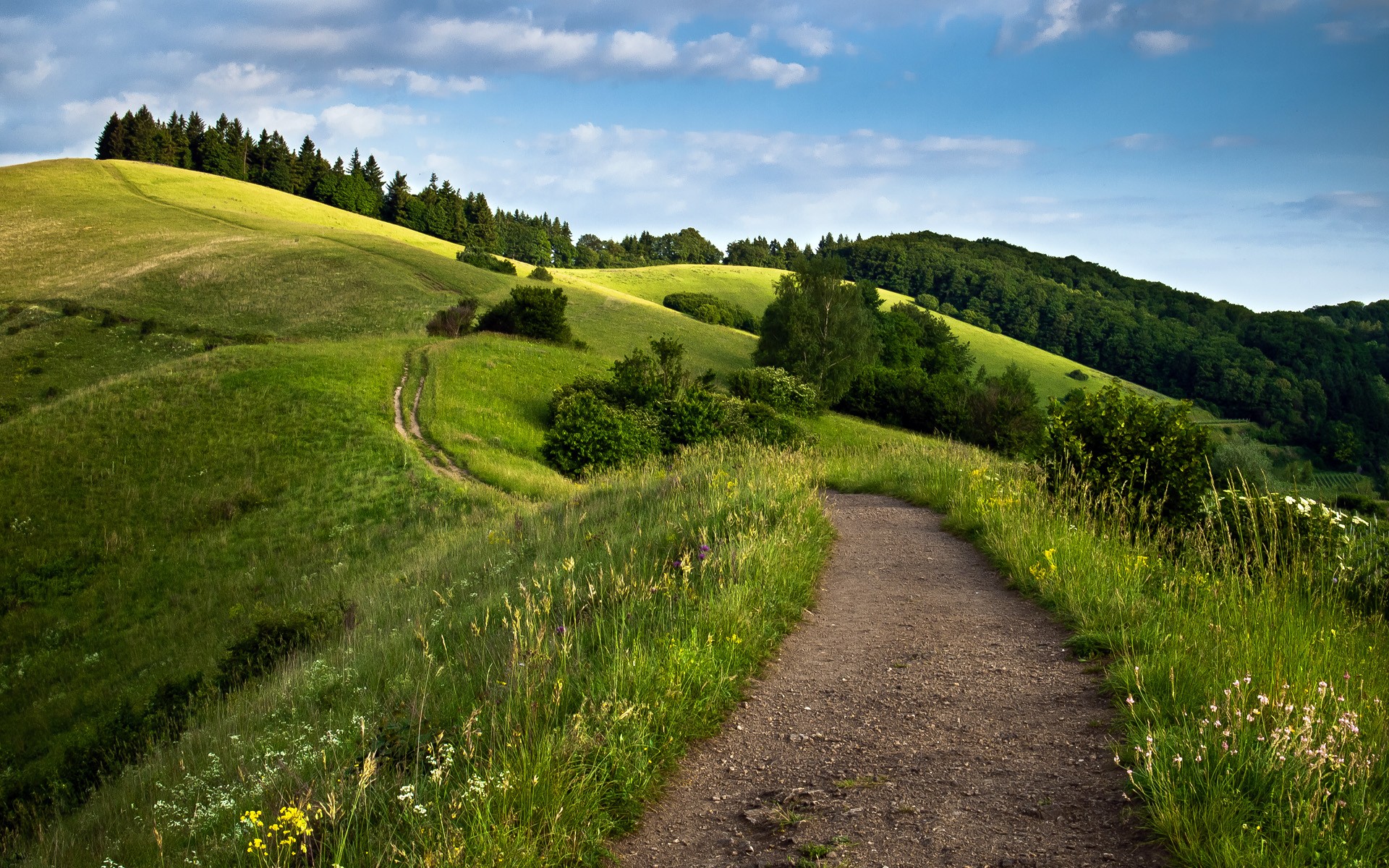 Green Fields 720p HD 4k Wallpaper Image Photos