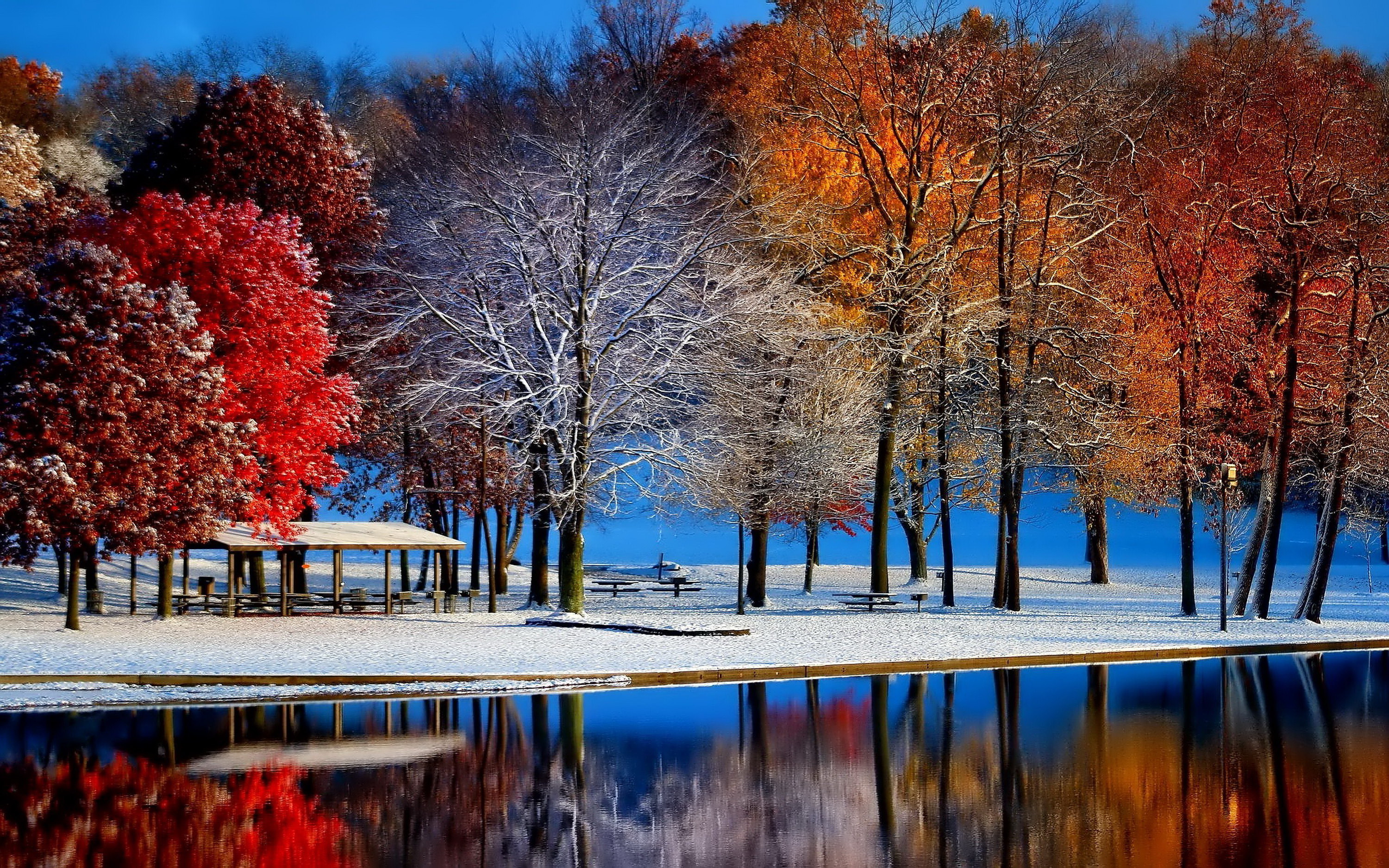 Wallpaper First Snow In The Park Autumn And