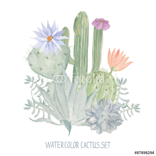 Vector Watercolor Print For Textile Wallpaper Cactus Pattern