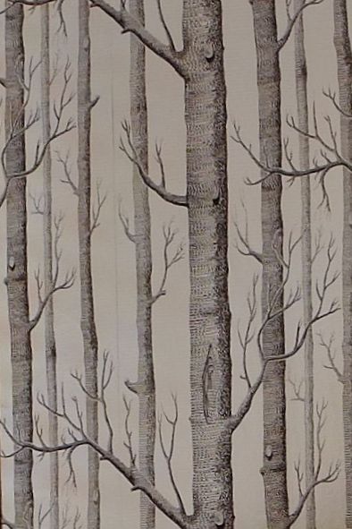Woods Foil By Cole Son Wallpaper Direct