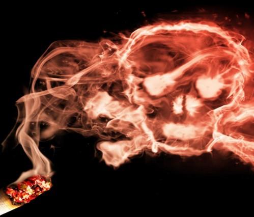 Smoking Skull Wallpapers   Android Apps on Google Play