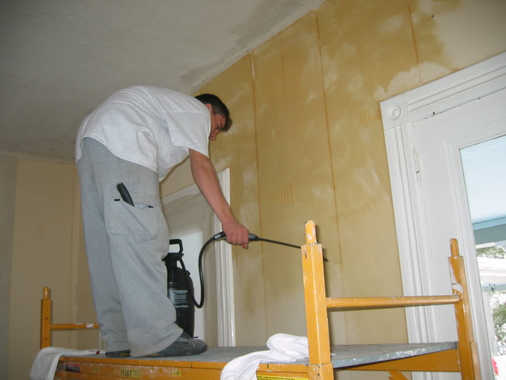 [49+] How to Remove Painted Wallpaper from Drywall on