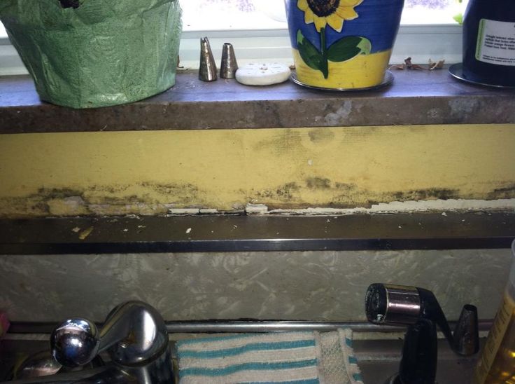 Cleaning Mold Off Wallpaper WallpaperSafari