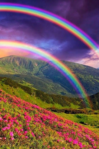 Beautiful Picture Photos And Image For Wallpaper