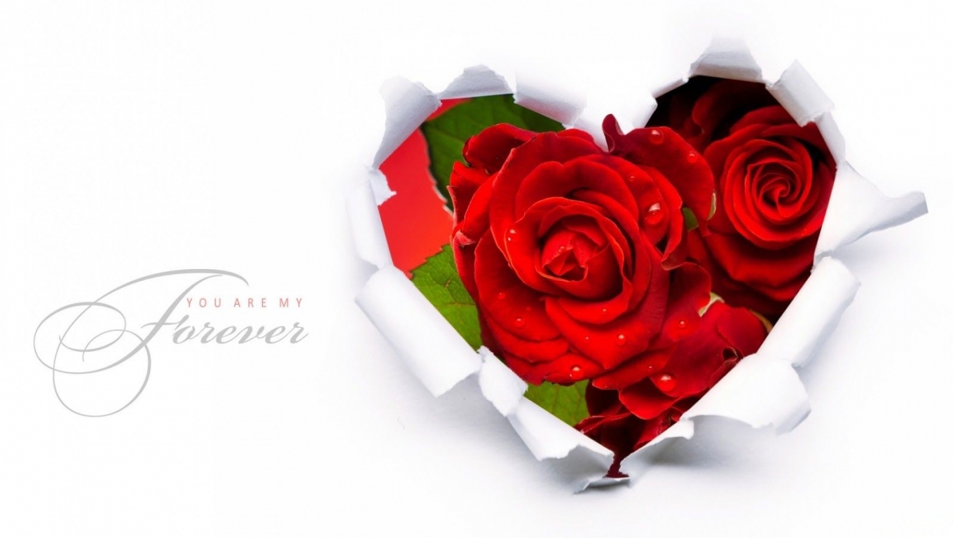 HD Wallpaper Valentine Flowers