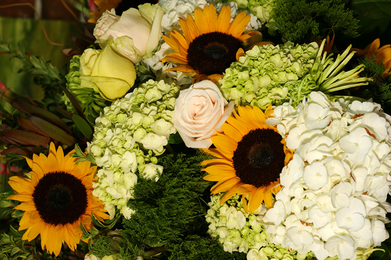Wallpaper Roses And Sunflowers