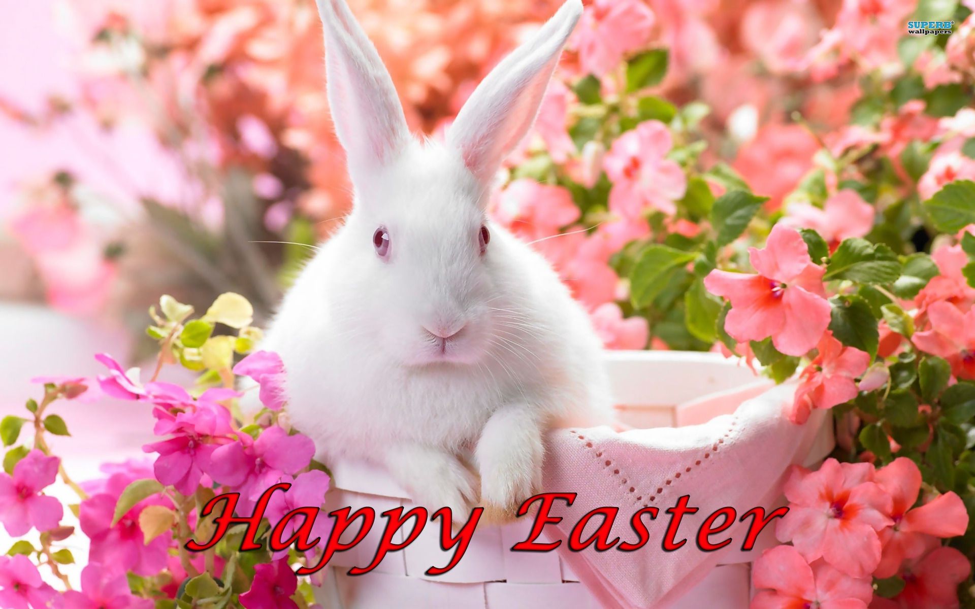 Wallpaper Easter Bunny Rabbits