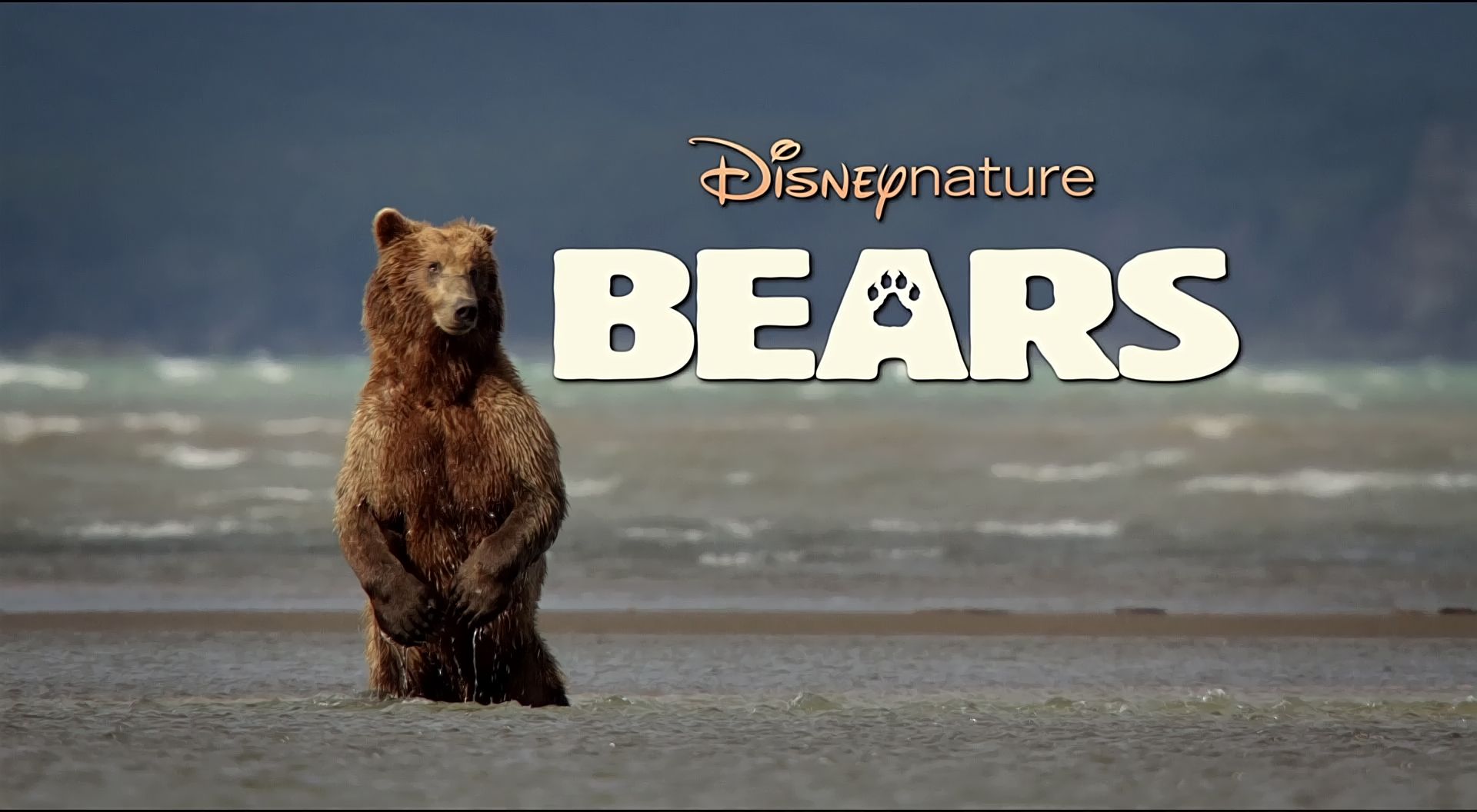 Grizzly Survival Movie Re Bears Cinesolace