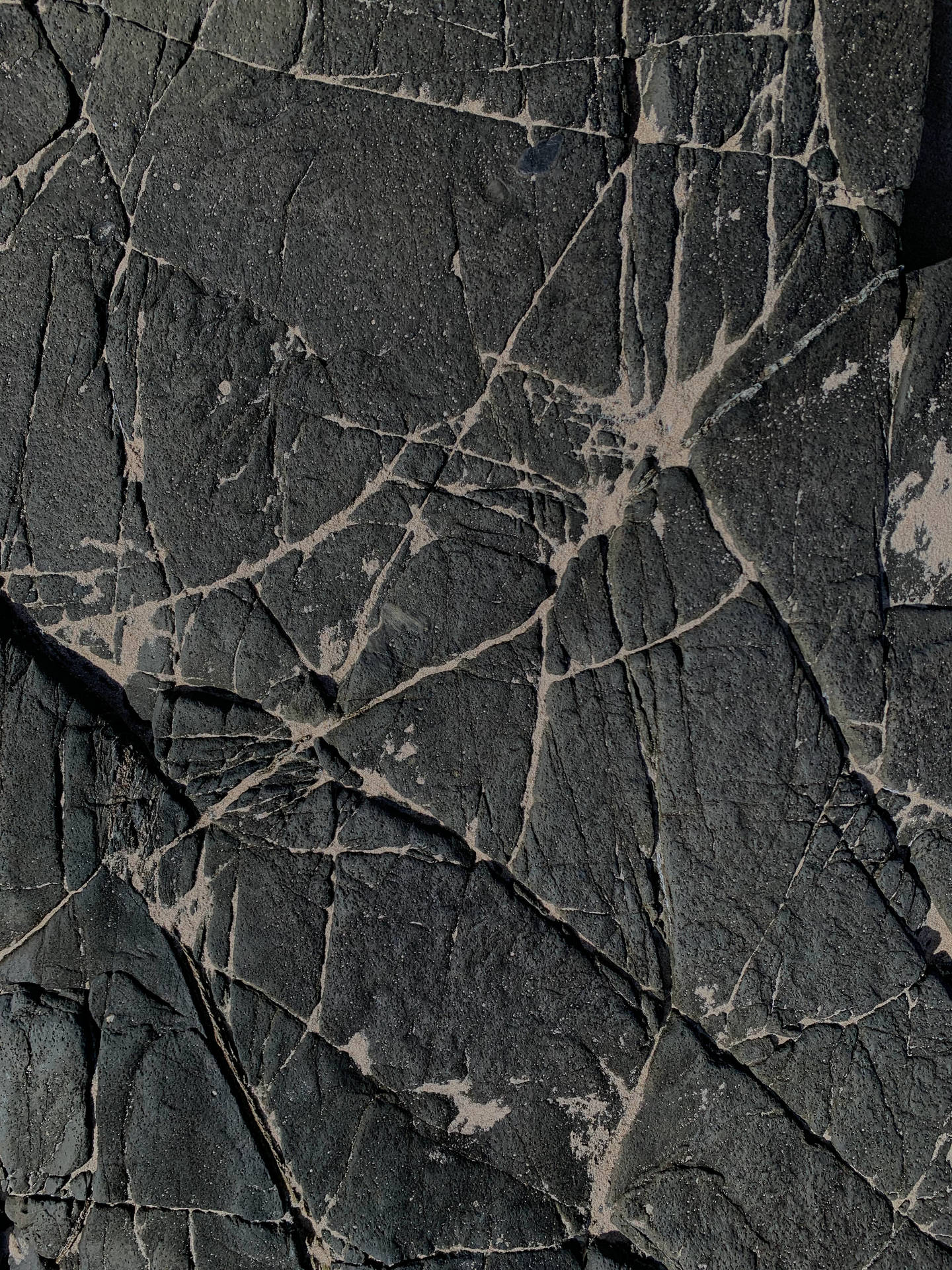 Stone Web Liked Texture Utrwtlizetdnftp9 Wallpaper