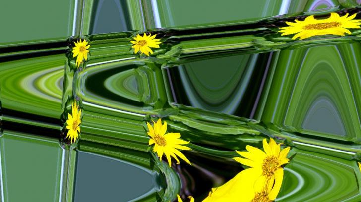 Flight Of The Yellow Flowers Hq Wallpaper
